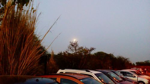 Cars parked by trees against sky