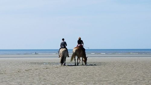 Rear view of friends riding horses at beach during sunny day