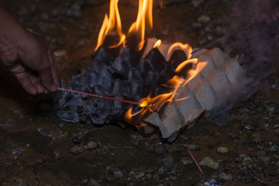 Bonfire on log