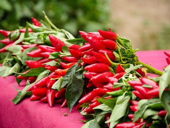 Close-up of red chili peppers