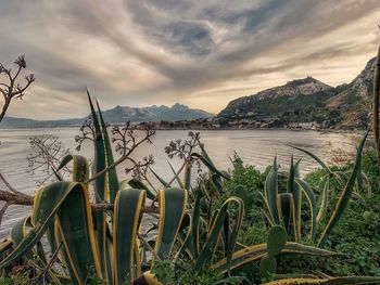 Scenic view of lake against sky