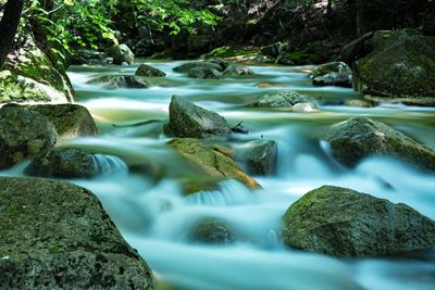 Scenic view of waterfall