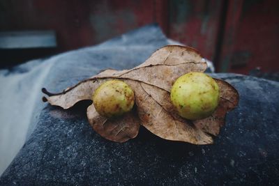 Close-up of fruits on leaf