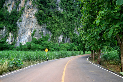 Empty country road in the tropical forest with the right curve signpost