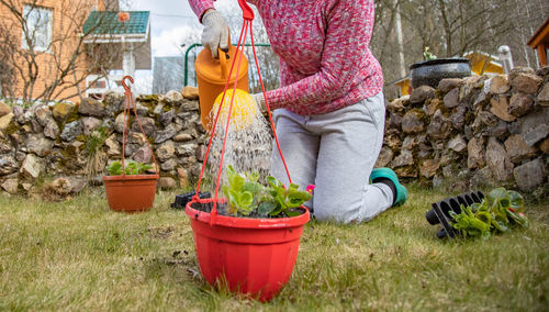 Low section of woman watering plants at garden
