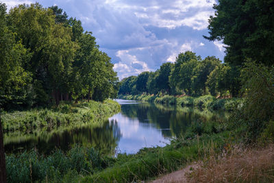 Scenic view of lake in forest against sky