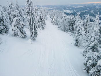 Snow covered landscape