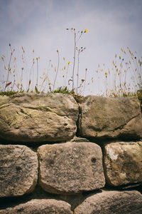 Close-up of cracked against sky