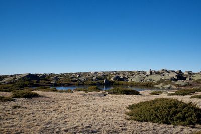 Scenic view of landscape against clear blue sky