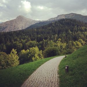 Footpath leading towards mountains