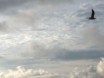 Low angle view of cloudy sky