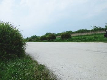 Scenic view of grassy field against sky