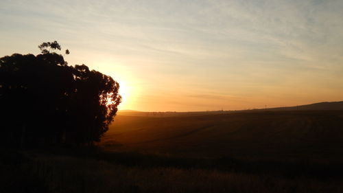 Scenic view of field against sky at sunset