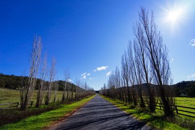 Bare trees on landscape against sky