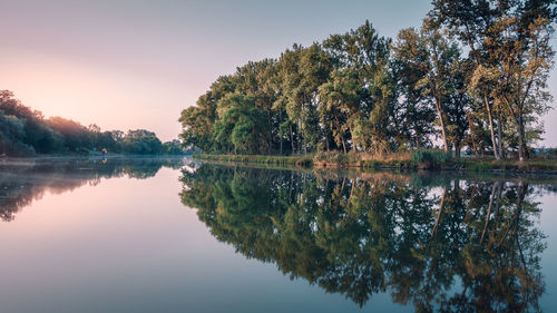 Reflection of trees in calm lake