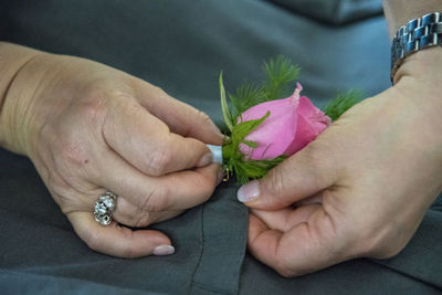 Close-up of hand holding pink flower