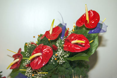 Close-up of red chili peppers on table