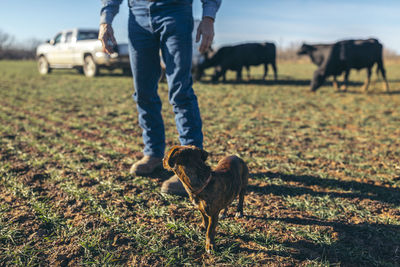 Low section of man with dog on field