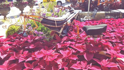 High angle view of potted plants