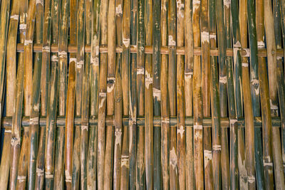 Full frame shot of bamboo