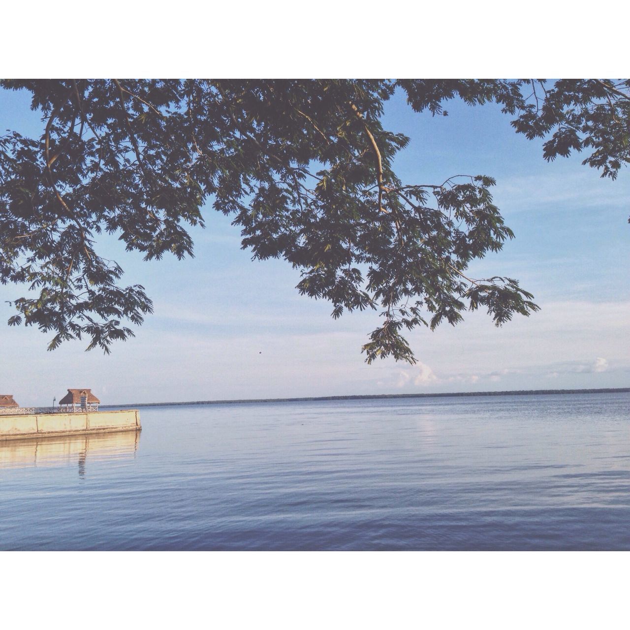 sea, water, horizon over water, beauty in nature, scenics, tranquility, tranquil scene, nature, idyllic, sky, tree, day, outdoors, no people, beach