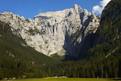 Low angle view of tree mountain against sky