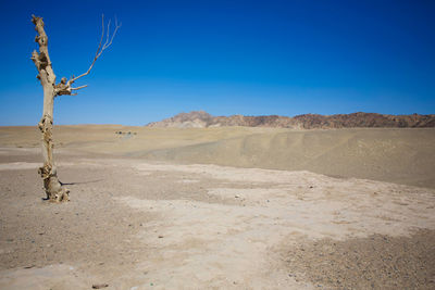 Scenic view of desert against clear blue sky