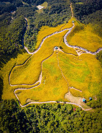 High angle view of agricultural field
