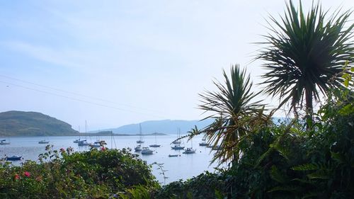 View of lake with mountain in background