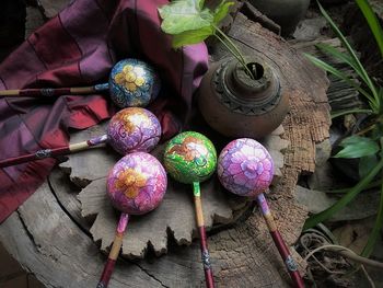 High angle view of multi colored flowers on wood