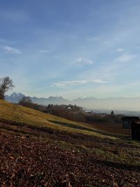 Scenic view of field against sky