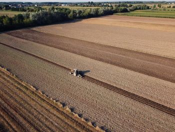 People walking on agricultural field