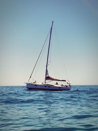 Sailboat sailing in sea against clear sky