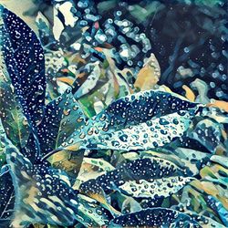 Close-up of water drops on glass