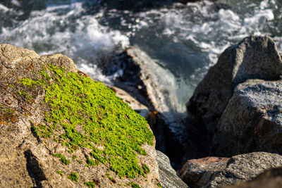 Close-up of rocks by sea