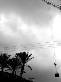 Low angle view of silhouette trees against sky