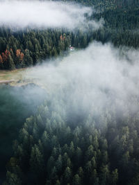 Aerial view of smoke in forest