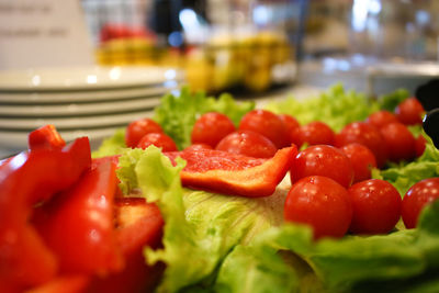 Close-up of chopped vegetables in plate