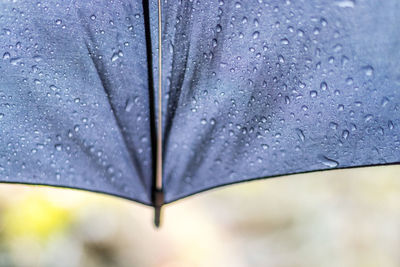 Close-up of raindrops on glass