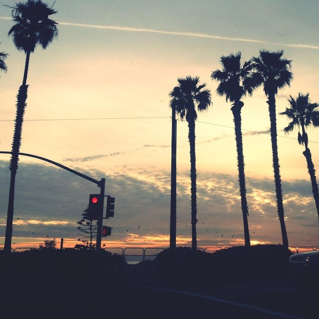 palm tree, sunset, silhouette, sky, tree, tranquility, power line, scenics, beauty in nature, cloud - sky, tranquil scene, nature, dusk, low angle view, cloud, road, electricity pylon, outdoors, cable, no people