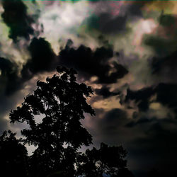 Low angle view of silhouette tree against sky during sunset