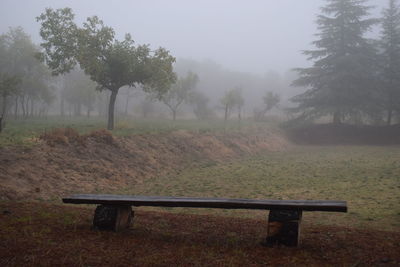 Trees on field in park against sky