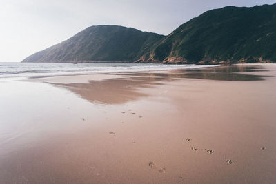 Scenic view of beach