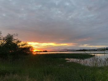 Scenic view of field against sky during sunset