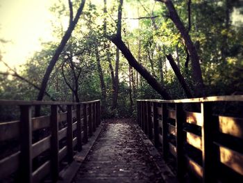 Narrow walkway along trees