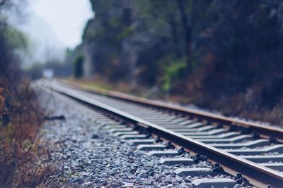 Railroad track amidst trees against sky