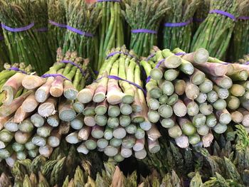 Asparagus for sale in market