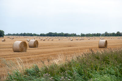 Hay bales on field against sky