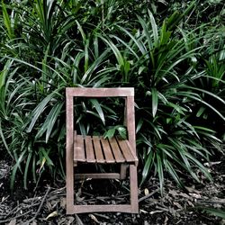 Chair on plant