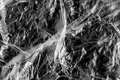 Full frame shot of plants